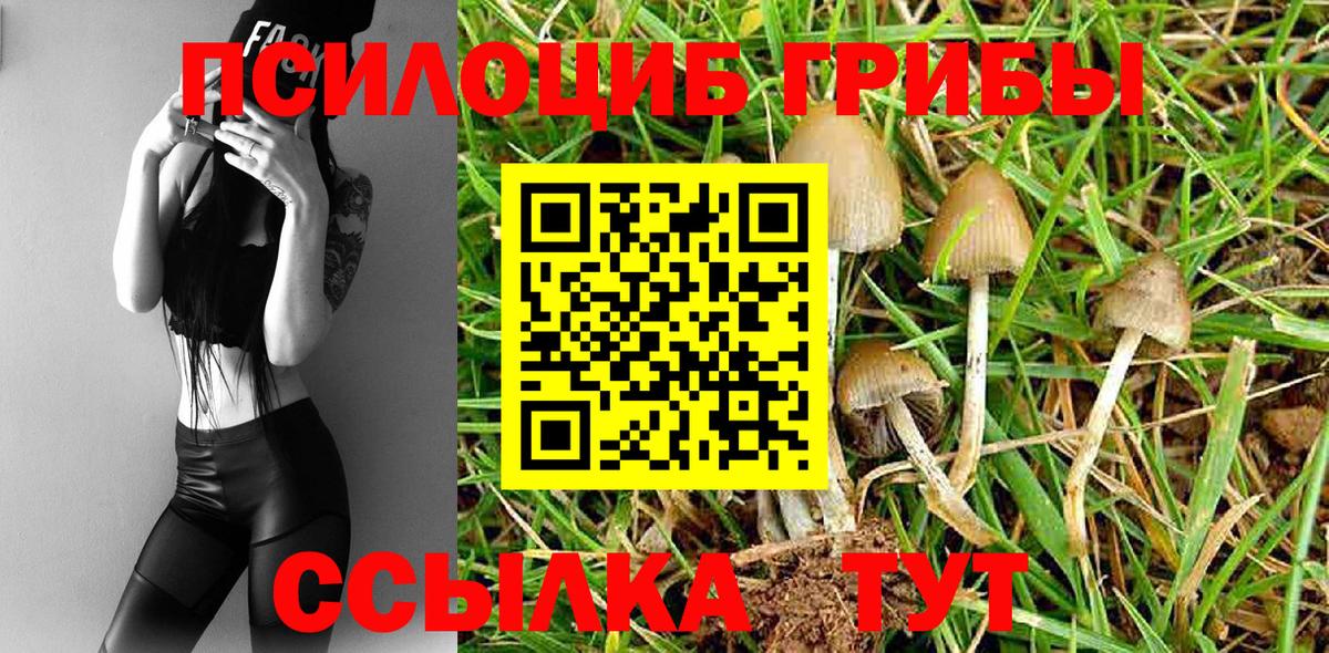 Арзамас  Псилоцибиновые грибы Psilocybe  Вход с VPN 